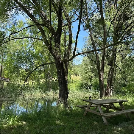 Domaine Mont Saint Juan * Aspremont (Hautes-Alpes)